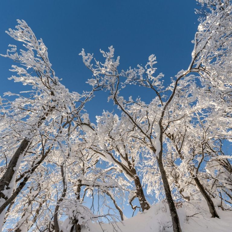 Winterdienst und saisonale Betreuung in Burgdorf & Region Hannover – zuverlässiger Winterservice von Vier Jahreszeiten Gartenservice.